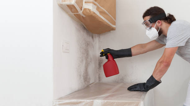 Professional Black Mold Remediation technician working in Interlochen, MI