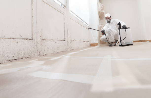 24/7 Emergency Black Mold Remediation experts in Interlochen, MI